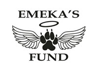 emeka's fund